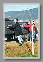 F1Pic18A.jpg (42.9 KB)