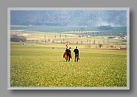 F2Pic27A.jpg (38.4 KB)