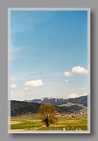 F3Pic27A.jpg (22.6 KB)