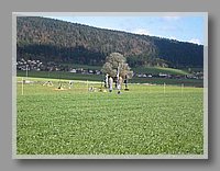 alrs2002 017.jpg (85.8 KB)