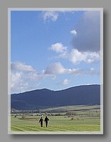 PA260034.JPG (48.6 KB)