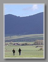 PA260035.JPG (53.5 KB)