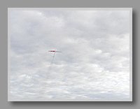 PA270055.JPG (31.8 KB)