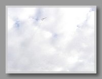 PA270057.JPG (25.1 KB)