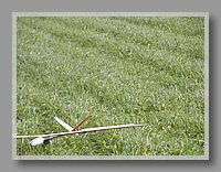 PA270061.JPG (90.0 KB)