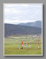 PA270066.JPG (65.1 KB)