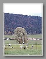 PA270170.JPG (78.7 KB)