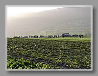 P1010289.JPG (103 KB)