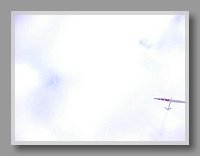 P1010327.JPG (20.1 KB)