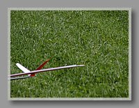 P1010328.JPG (82.8 KB)