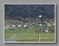 P1010356.JPG (70.3 KB)