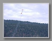 P1010358.JPG (40.7 KB)