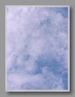 P1010450.JPG (35.0 KB)