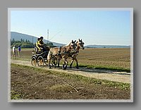 alrs4 010.jpg (91.8 KB)