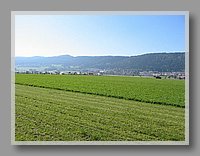 108-0884_IMG.JPG (96.9 KB)