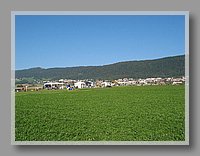 123-2387_IMG.JPG (87.1 KB)