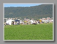 123-2390_STC.JPG (115 KB)