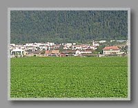 123-2392_STE.JPG (120 KB)