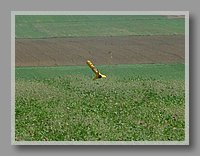Bild 014.jpg (75.5 KB)