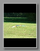 Bild 105.jpg (78.6 KB)