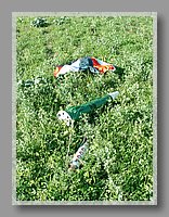 ALRS4_Rolli_117.JPG (192 KB)