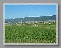 ALRS4_Rolli_119.JPG (86.4 KB)