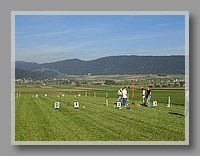SANY0042.JPG (73.6 KB)