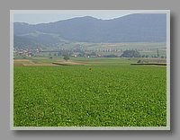 SANY0006.JPG (90.1 KB)