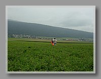 alrsV 207.jpg (65.2 KB)
