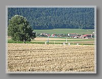 IMG_0215.JPG (126 KB)