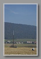 DSC_2368.JPG (45.0 KB)