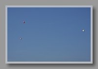DSC_2372.JPG (21.4 KB)