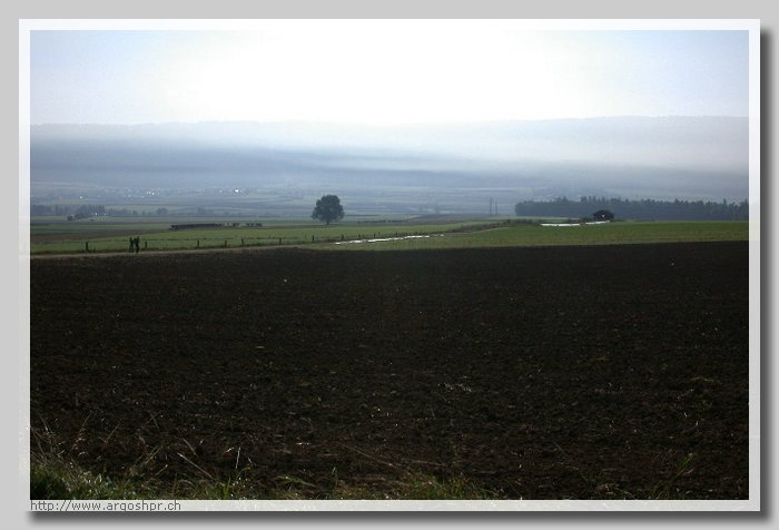 DSCN5295.JPG