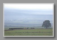 DSCN5298.JPG (39.3 KB)