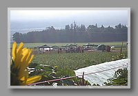 DSCN5299.JPG (66.6 KB)