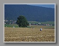CIMG2661.jpg (1.59 MB)
