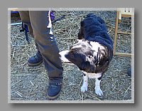 CIMG2674.JPG (118 KB)