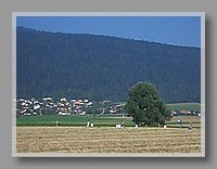 CIMG2677.jpg (513 KB)