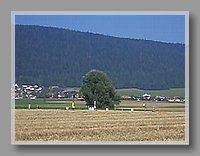 CIMG2678.jpg (945 KB)
