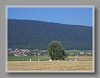 CIMG2684.jpg (742 KB)
