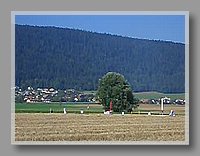 CIMG2686.jpg (930 KB)