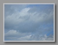 CIMG0698.JPG (31.2 KB)