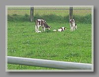 IMG_0122.JPG (70.1 KB)