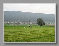 IMG_2833.JPG (61.2 KB)