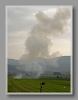DSC01034.JPG (38.2 KB)