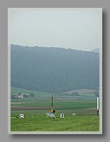 PICT0272.JPG (35.3 KB)