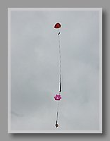 PICT0289.JPG (23.3 KB)