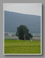 DSC03211.JPG (55.7 KB)