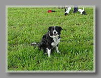DSC03303.JPG (138 KB)