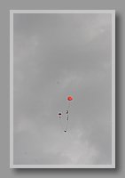 IMG_2913.JPG (19.5 KB)